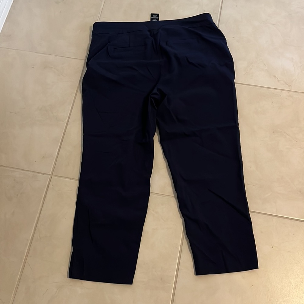 Zac & Rachel Navy Ankle Pants - Picture 3 of 4